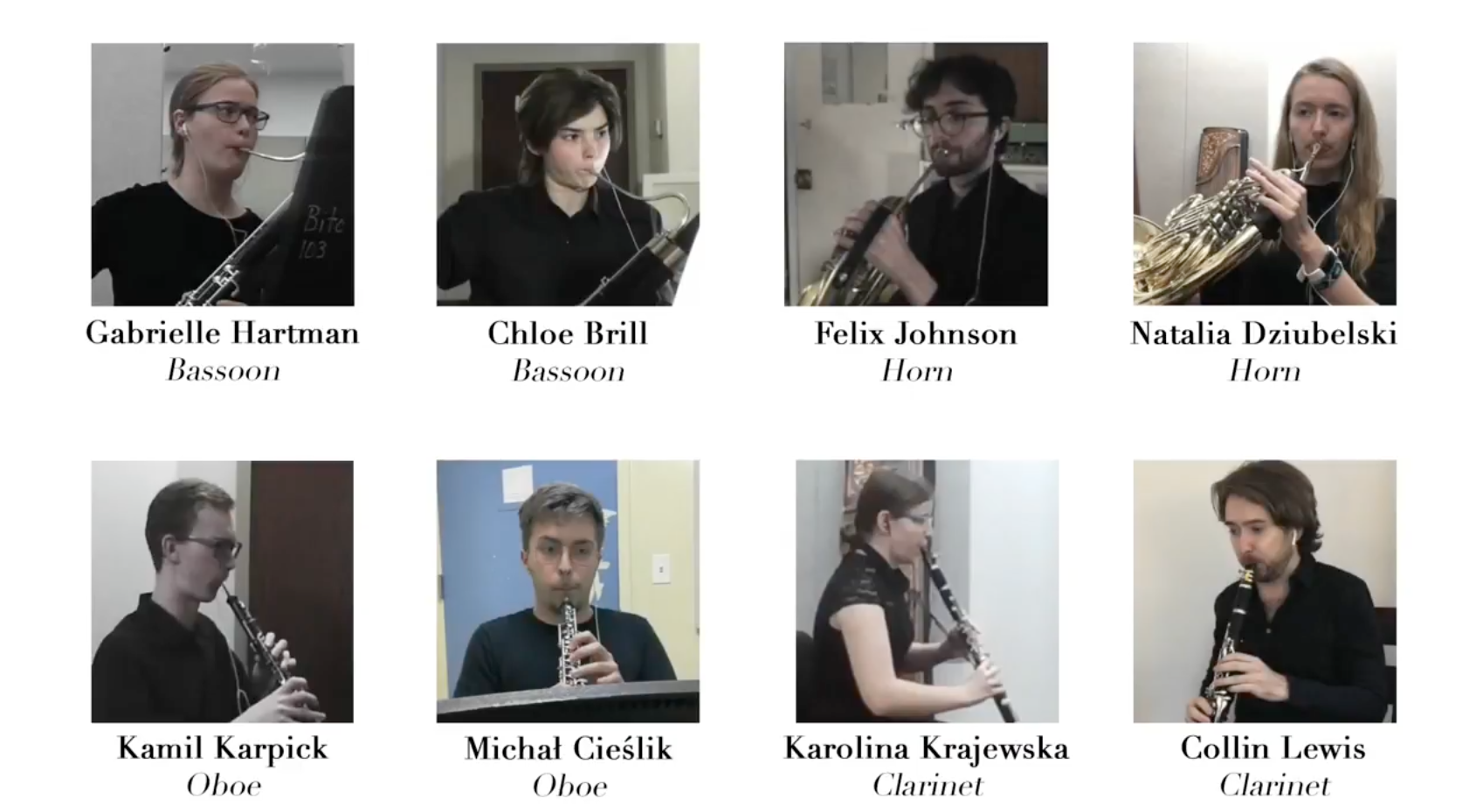 Mozart's Serenade No. 12 - Image 1