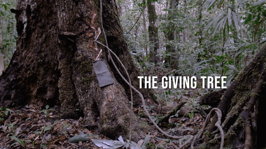 The Giving Tree